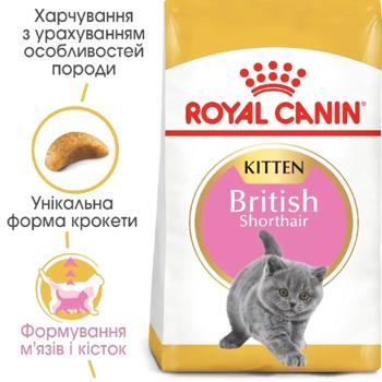 Набір корму Royal Canin для кошенят породи британська короткошерста cухий 2кг + вологий 4шт х 85г - купити, ціни на MasterZoo - фото 5
