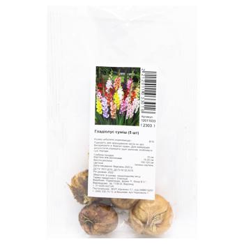 Gladiolus Mix Bulbotuber 5pcs - buy, prices for MegaMarket - photo 1