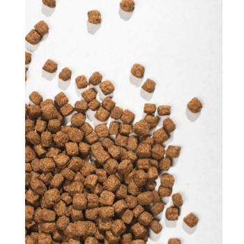 Half&Half Dry Food with Turkey for Cats with Sensitive Digestion 8kg - buy, prices for - photo 3