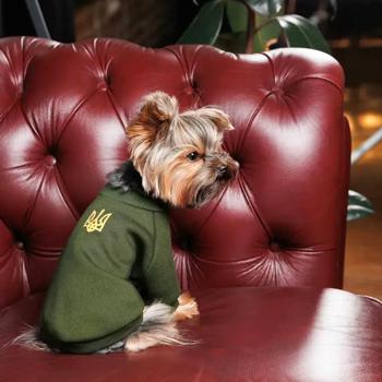 Товстівка для собак Pet Fashion «Тризуб» M - buy, prices for MasterZoo - photo 3