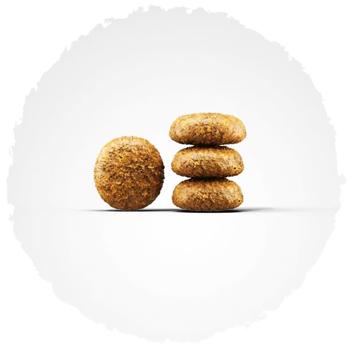 Сухий корм для собак Josera Miniwell 900 г - домашня птиця - купити, ціни на MasterZoo - фото 5