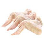 Domestic Chilled Chicken Wing