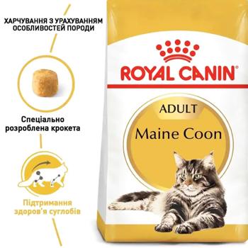 Royal Canin Adult for Cats of Maine Coon Breed Dry 2kg + Wet 4pcs x 85g - buy, prices for MasterZoo - photo 4