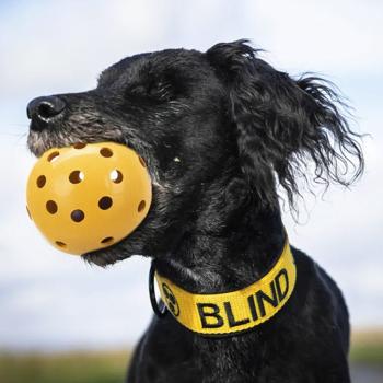 Trixie Ball Toy for Dogs with Holes and Bell 7cm - buy, prices for MasterZoo - photo 2