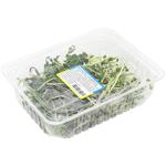 Microgreen Mix Salad 50g