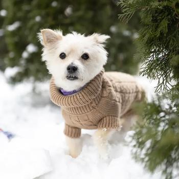 Sweater Noble pet - buy, prices for MasterZoo - photo 8