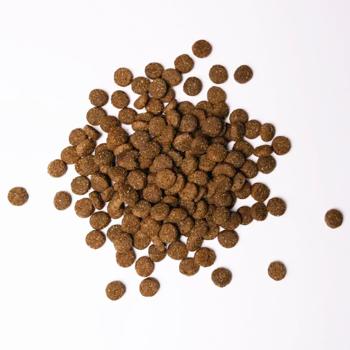 Savory Dry Food with Turkey and Chicken for Puppies of Large Breeds 12kg - buy, prices for MasterZoo - photo 2