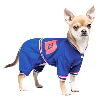 Pet Fashion Silver Raincoat for Dogs s.S - buy, prices for - photo 2