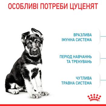 Royal Canin Dry Food for Puppies of Large Breeds 3.2+800g - buy, prices for - photo 2