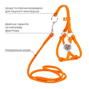 Waudog Glamour шкіряна шлея з повідцем для собак XXS - помаранчевий - купити, ціни на MasterZoo - фото 3