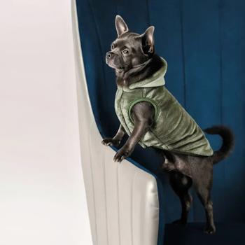 Pet fashion Ukraine - buy, prices for MasterZoo - photo 3