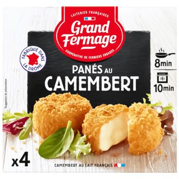 cheese camembert grand fermage 100g France