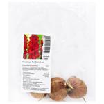 Бульбоцибулини гладіолуса Фат Бой 3шт