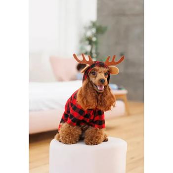 Costume Pet fashion - buy, prices for MasterZoo - photo 7