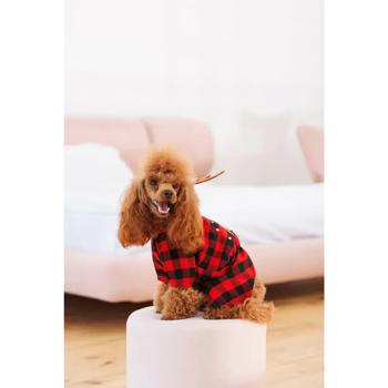 Костюм для собак Pet Fashion Xmas S - купить, цены на MasterZoo - фото 2
