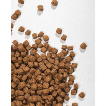 Half&Half Dry Food with Turkey for Cats with Sensitive Digestion 300g - buy, prices for MasterZoo - photo 3