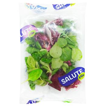Салат Salute Mix Рошпонка з радічіо 75г - купити, ціни на Чудо Маркет - фото 1