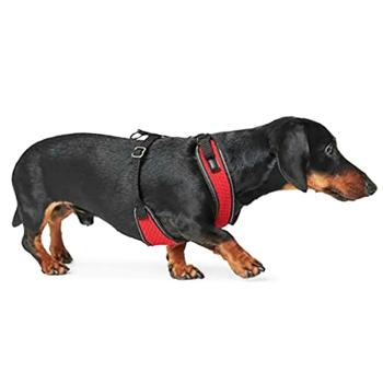 Leash Hunter - buy, prices for MasterZoo - photo 3