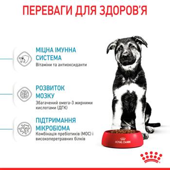 Royal Canin Dry Food with Poultry for Puppies of Large Breeds 12+3kg - buy, prices for MasterZoo - photo 4