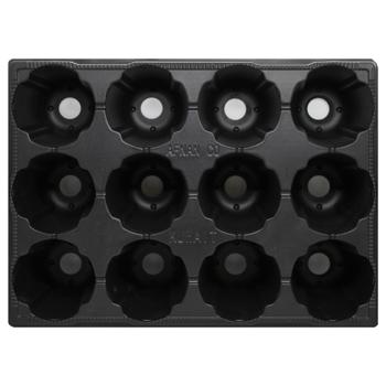 Cassette for Seedlings 540x280mm for 12 cells 86x65x100mm - buy, prices for MegaMarket - photo 2