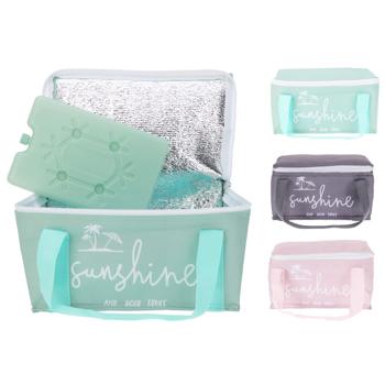 Термо-сумка и аккумулятор холода 2,6л 22*15*11см - купить, цены на Таврия В - фото 1