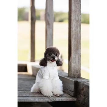 Вишиванка для собак Pet Fashion Ostap XXS - купити, ціни на MasterZoo - фото 8