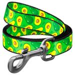 Waudog Nylon Leash 122cm/20mm with Avocado Design