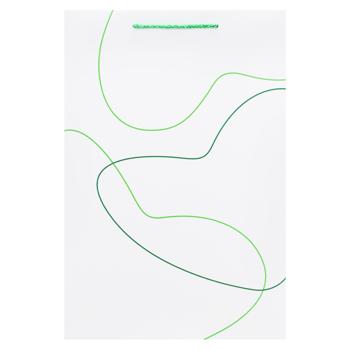 Пакет середній вертикальний 36х24х9см в асортименті - купити, ціни на NOVUS - фото 1