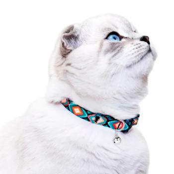 Collar Barksi nylon Ukraine - buy, prices for MasterZoo - photo 7