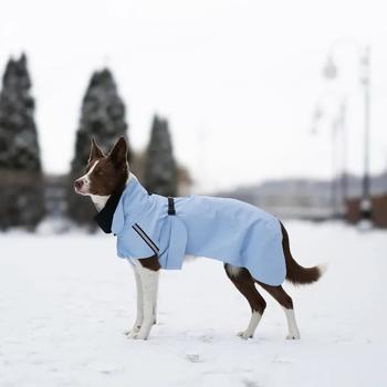 Raincoat Noble pet xxl Ukraine - buy, prices for MasterZoo - photo 7