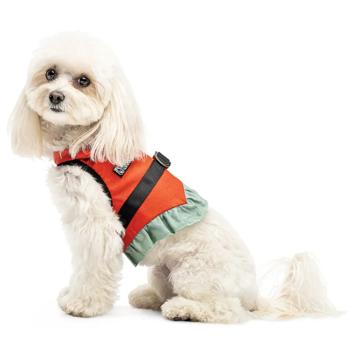 Leash Pet fashion - buy, prices for MasterZoo - photo 3