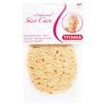 Titania 1980 Cellulose Cosmetic Sponge