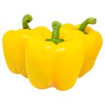 Yellow Pepper