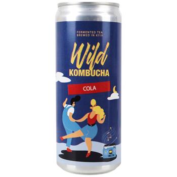 Kombucha Wild kombucha Ukraine - buy, prices for Epicentr FOOD - photo 1