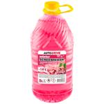 Омыватель стекла Auto Drive Вишня зимний -19С 5л