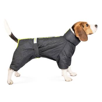 Combination Pet fashion - buy, prices for MasterZoo - photo 2