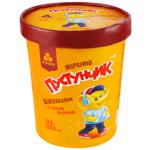 Rud Pustunchyk Chocolate Ice cream with Condensed Milk 500g