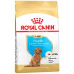 Cухий корм для цуценят Royal Canin Poodle Puppy 500 г