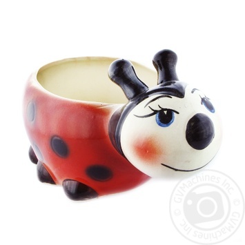 Ladybug Flowerpot 17cm - buy, prices for MegaMarket - photo 1