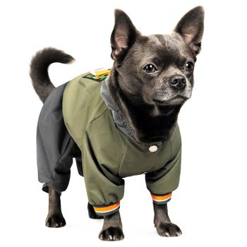 Pet Fashion Jimi Raincoat for Dogs s.M - buy, prices for - photo 4