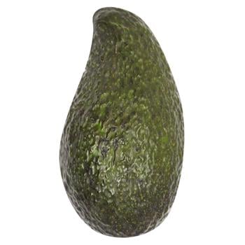 Avocado Metro Chef Caliber 14, pc - buy, prices for METRO - photo 2