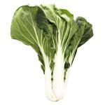 Bok Choy Cabbage