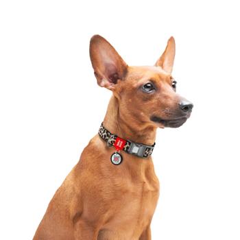 Нашийник для собак COLLAR Нейлон L - леопард - купити, ціни на MasterZoo - фото 4