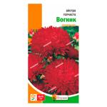 Yaskrava Aster Needle-Shaped Fire Seeds 0.3g