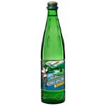 Polyana Kvasova Highly Carbonated Mineral Water 0.5l