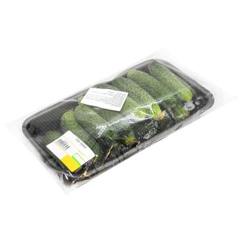 Cucumbers Packed