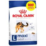 Корм сухой Royal Canin Maxi Adult с домашней птицей для собак больших пород 3,2кг+800г