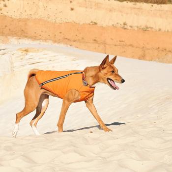 Pet Fashion E.Vest Vest for Dogs s.М Orange - buy, prices for - photo 8