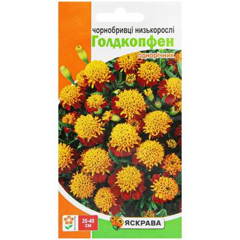 Yaskrava Marigold Low Goldkopfen Seeds 0.5g