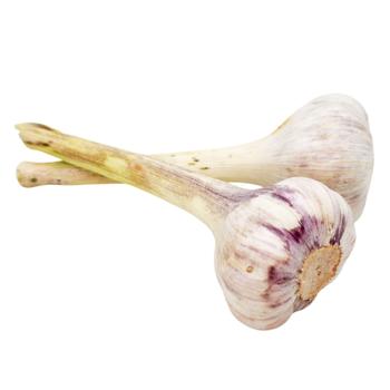 Young Garlic - buy, prices for NOVUS - photo 1